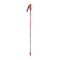 Bastoncini da sci gara Vola Carbon GS (26/27)